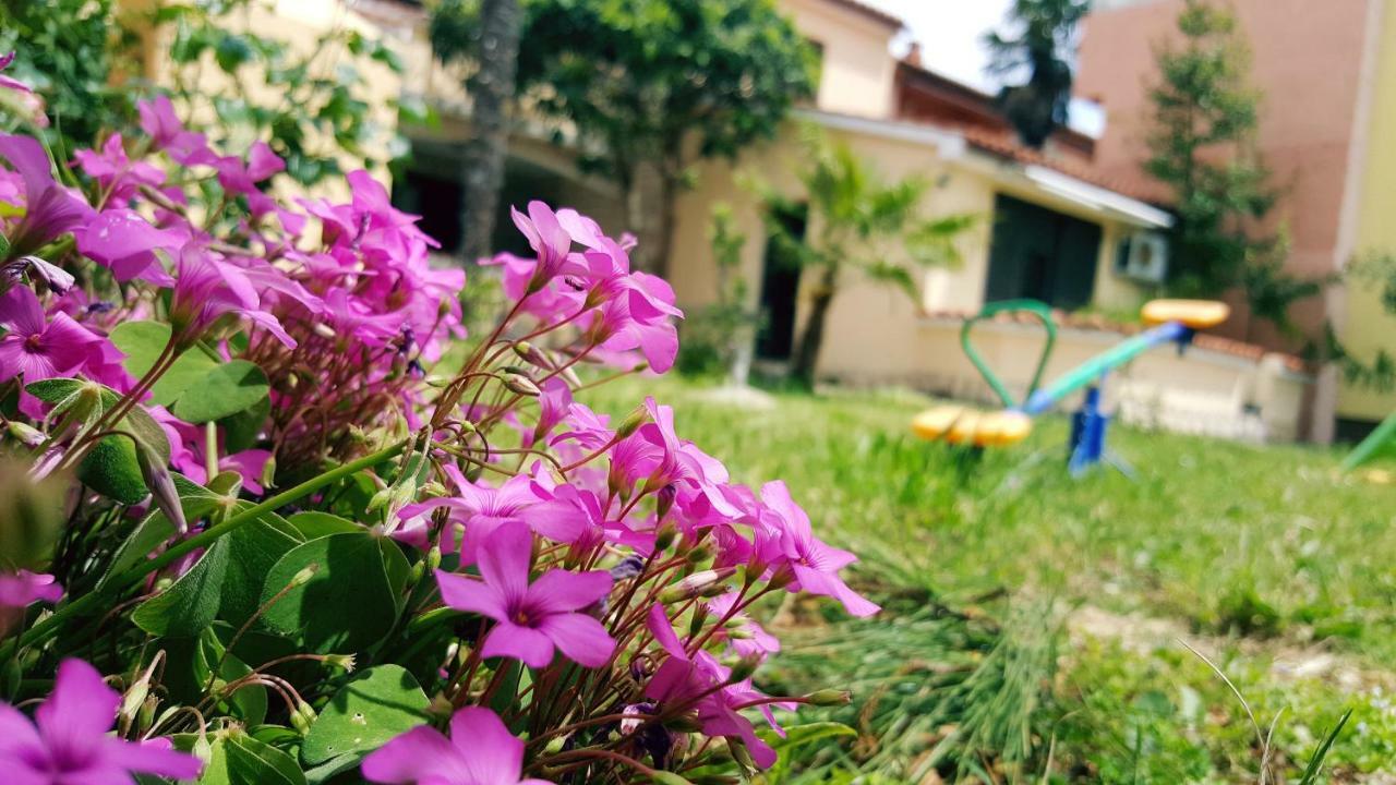 מדולין Apartmani Koin מראה חיצוני תמונה